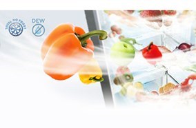 Tủ lạnh Panasonic NR-BK306MSVN 296 lít