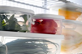 Tủ lạnh Panasonic NR-BJ186SSVN 167 lít 2 cánh