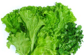 Tủ lạnh Panasonic NR-BJ186SSVN 167 lít 2 cánh