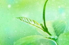 Tủ lạnh LG GN185PG