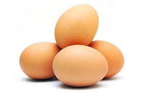 Khay đựng trứng tiện dụng