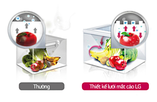 Ngăn cân bằng độ ẩm 