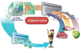 Thiết kế giảm rung giảm ồn