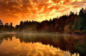 Độ phân giải Full HD đẹp mắt